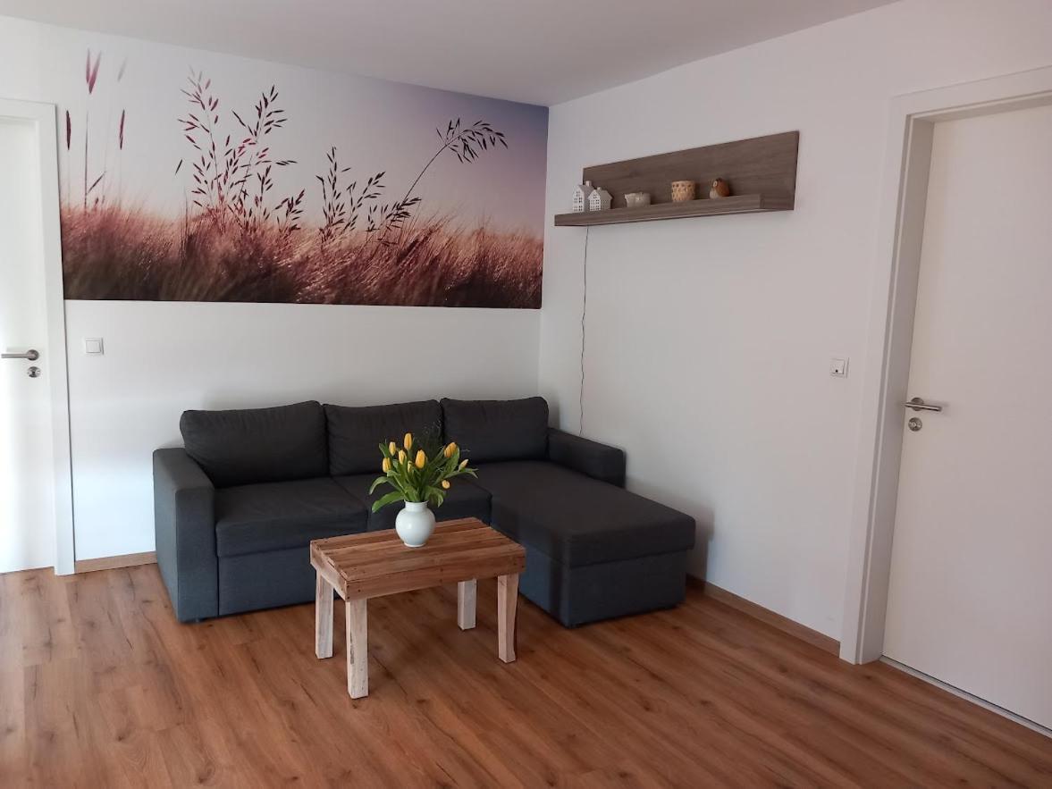 Apartmán Ferienbauernhof Neumuehle Gappenach Exteriér fotografie