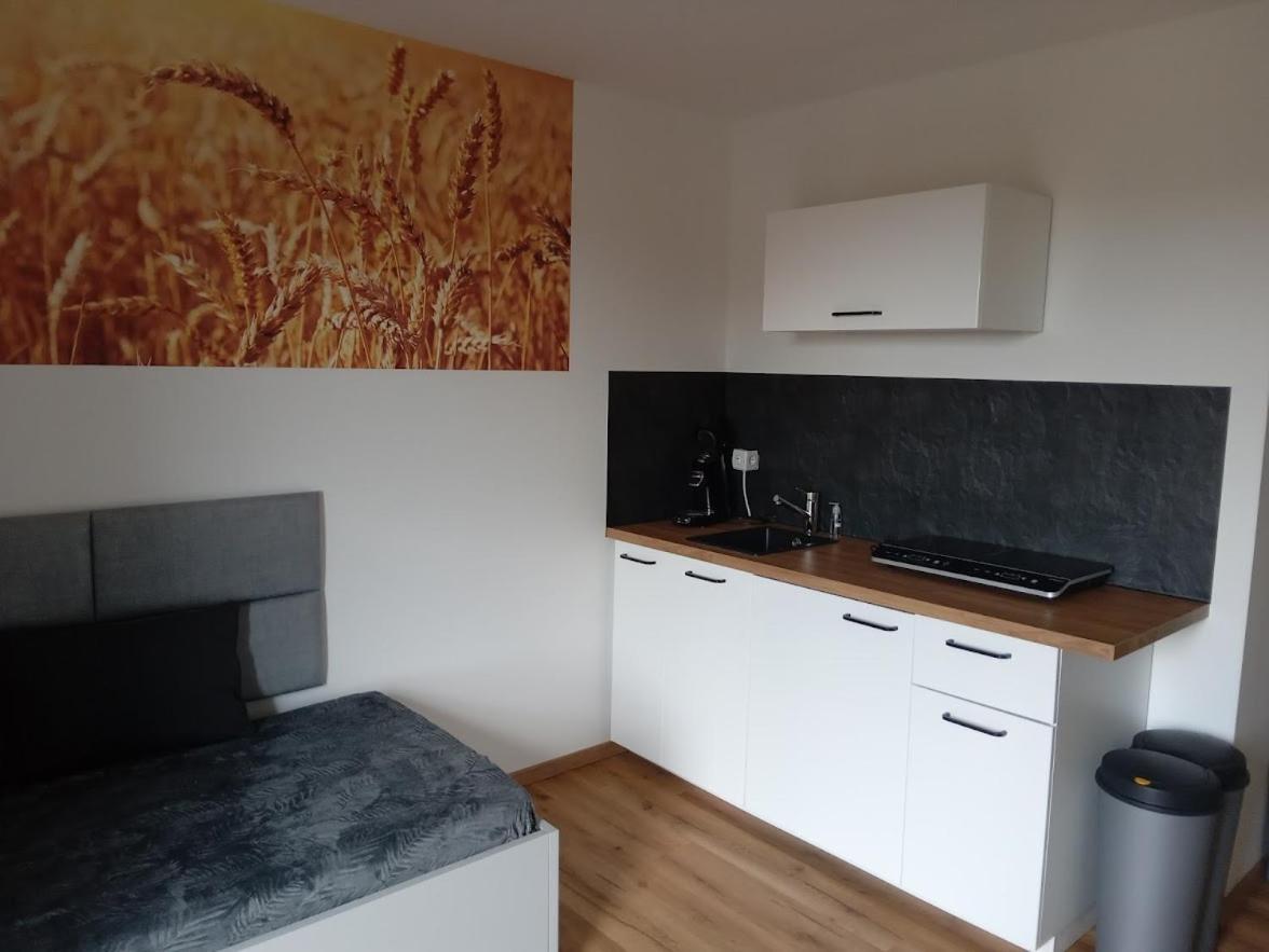Apartmán Ferienbauernhof Neumuehle Gappenach Exteriér fotografie