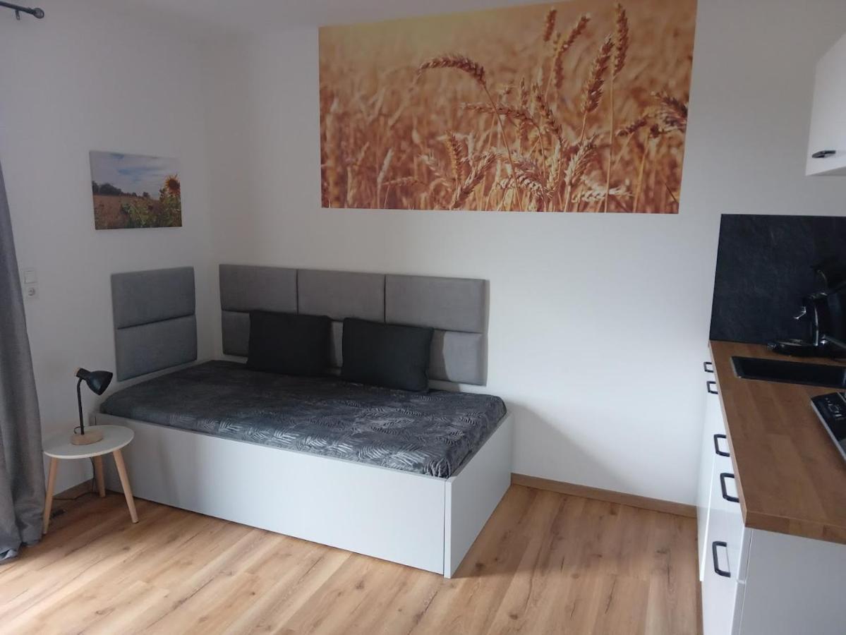 Apartmán Ferienbauernhof Neumuehle Gappenach Exteriér fotografie