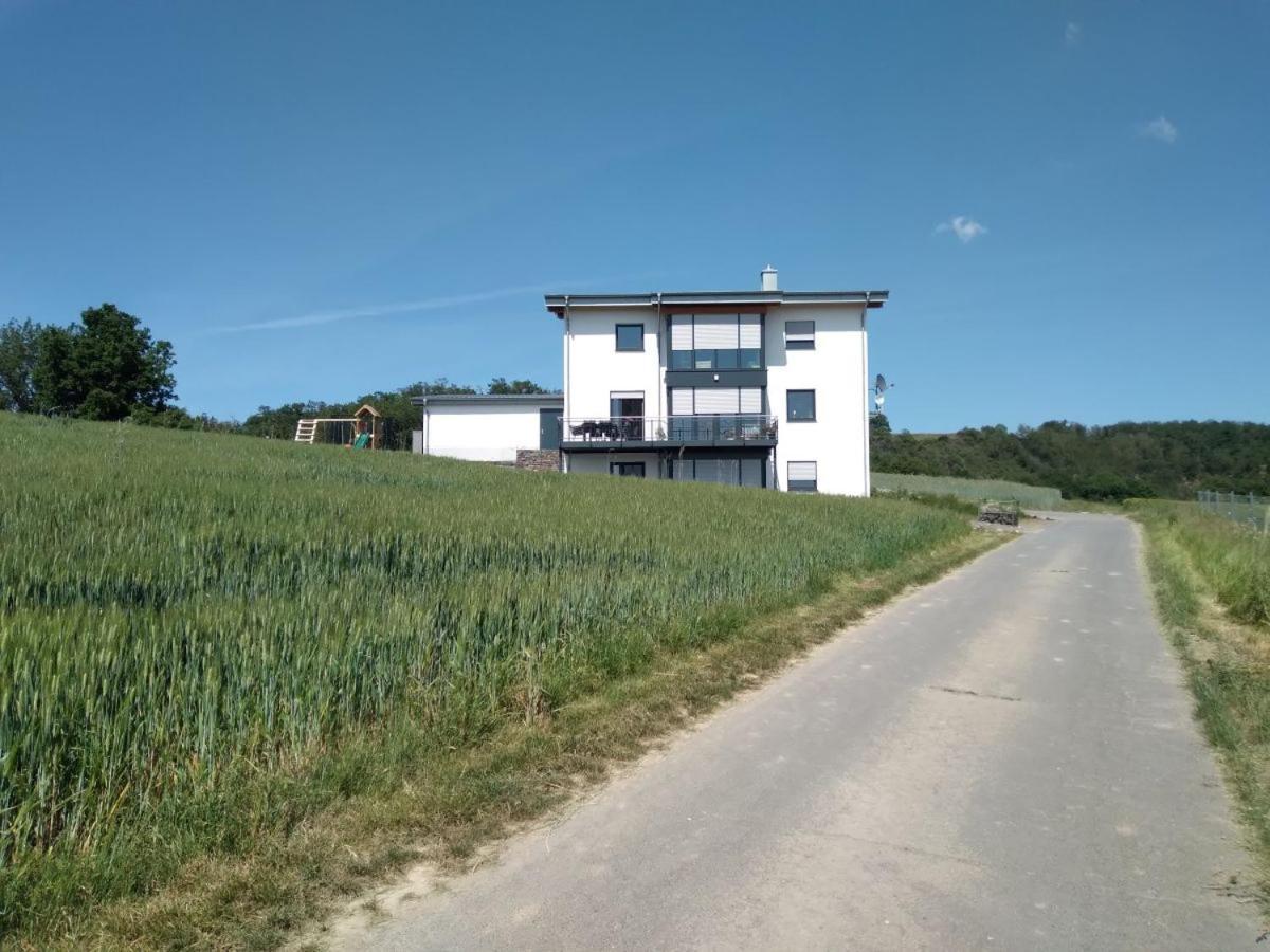 Apartmán Ferienbauernhof Neumuehle Gappenach Exteriér fotografie